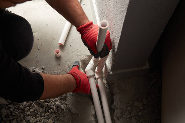 Best Local Plumber Services  in Loogootee, IN