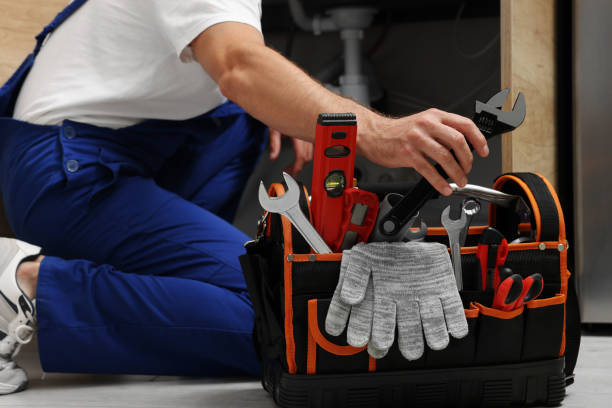 Best Plumbing Inspection Services  in Loogootee, IN